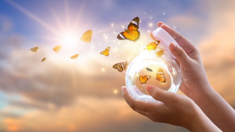 Снимка: Istock