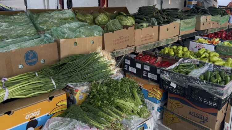 Снимка: архив, БГНЕС