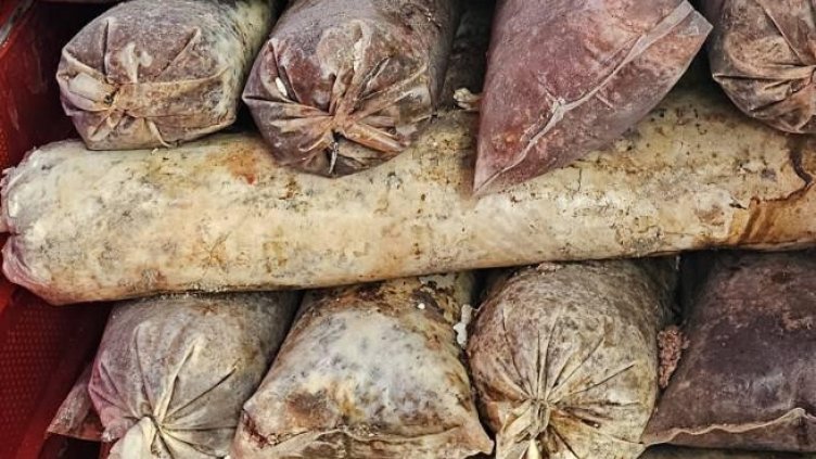 Снимка: БАБХ, архив