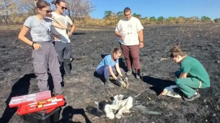 Снимка Зелени Балкани