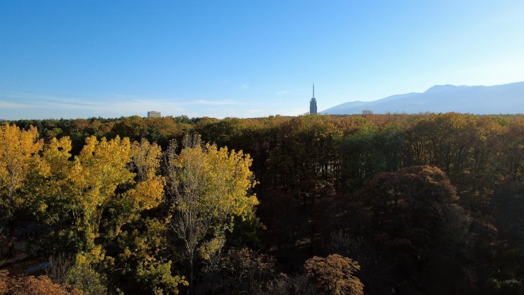 Снимка: архив, БГНЕС