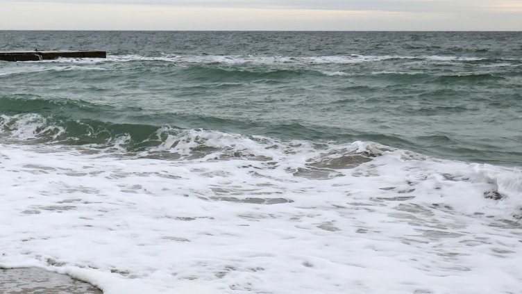 Снимка: архив, БГНЕС