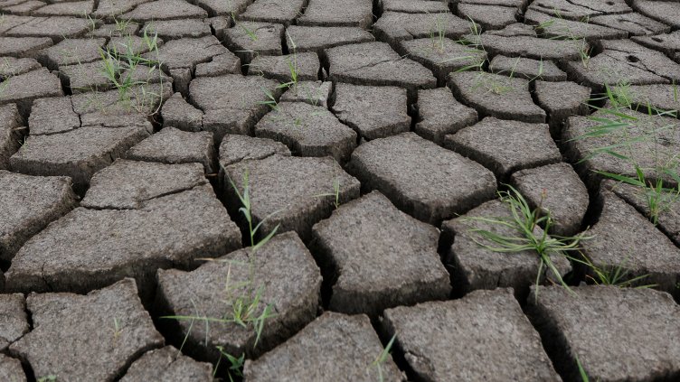 Снимка: архив, БГНЕС