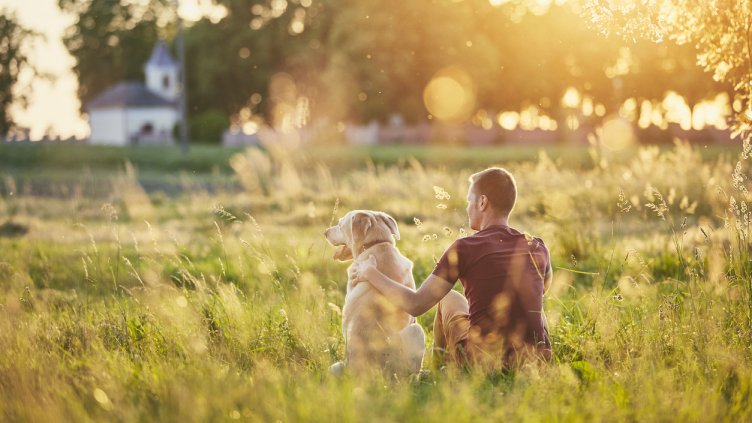 Снимка: Istock