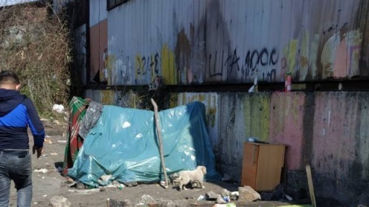 БГНЕС, архив