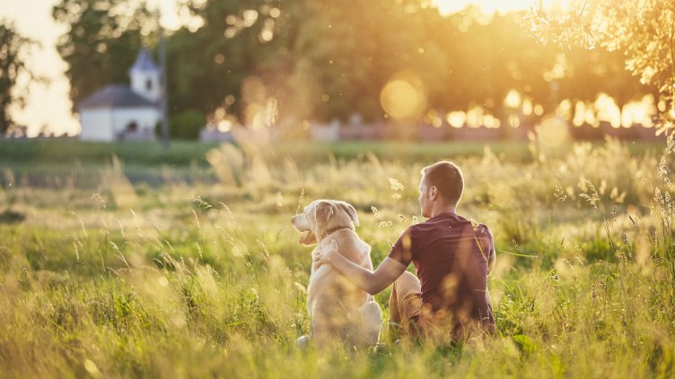 Снимка: istock