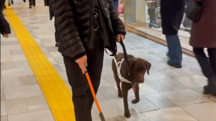 Столична община