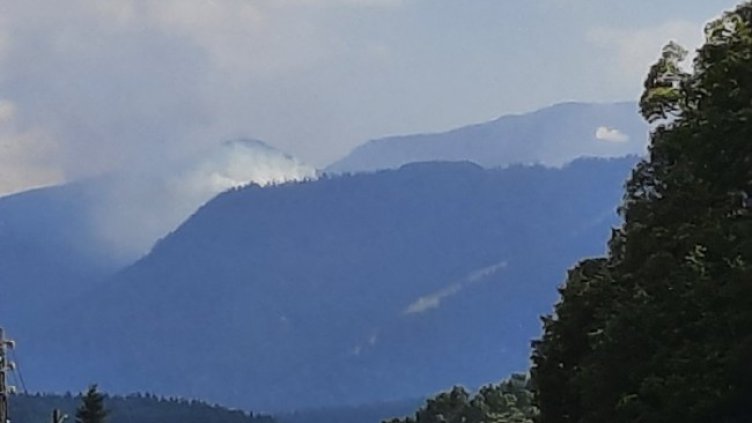 Снимка: Мариян Йорданов, Investor.bg