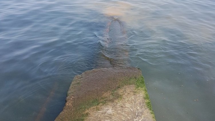 Снимка: ДНСК