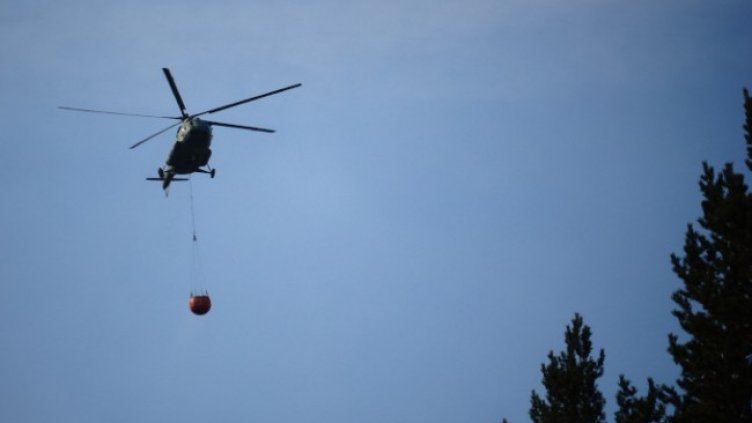 Снимка: БГНЕС