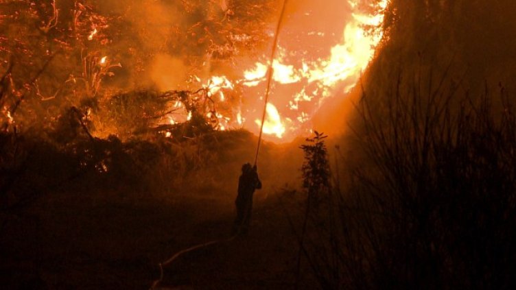 Снимка: БГНЕС