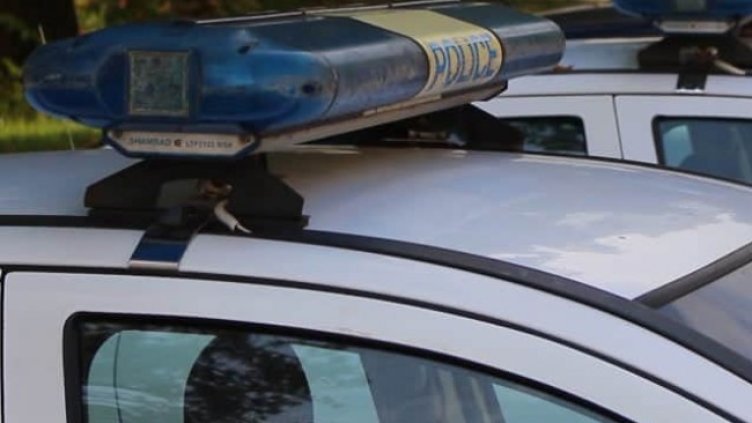 Снимка: архив, БГНЕС