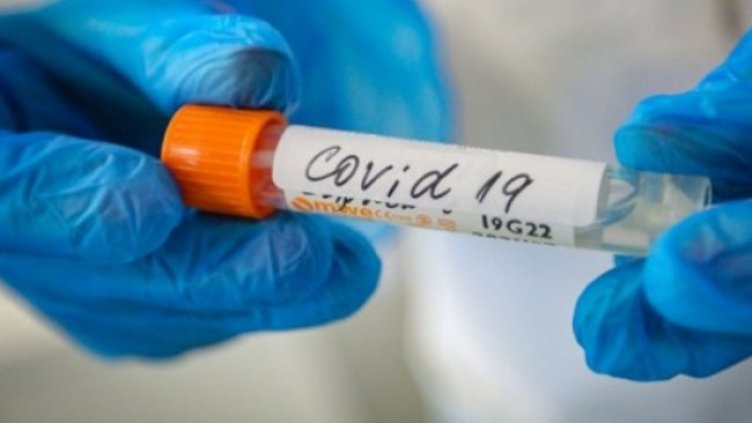 Снимка:Димитър Кьосемарлиев, Dnes.bg