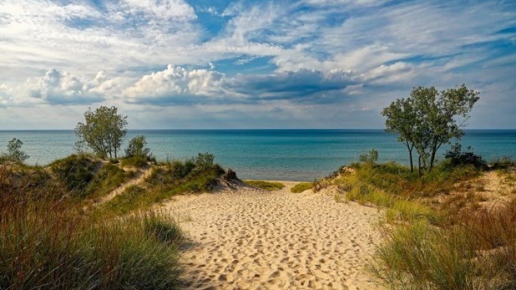 Снимка: Pixabay