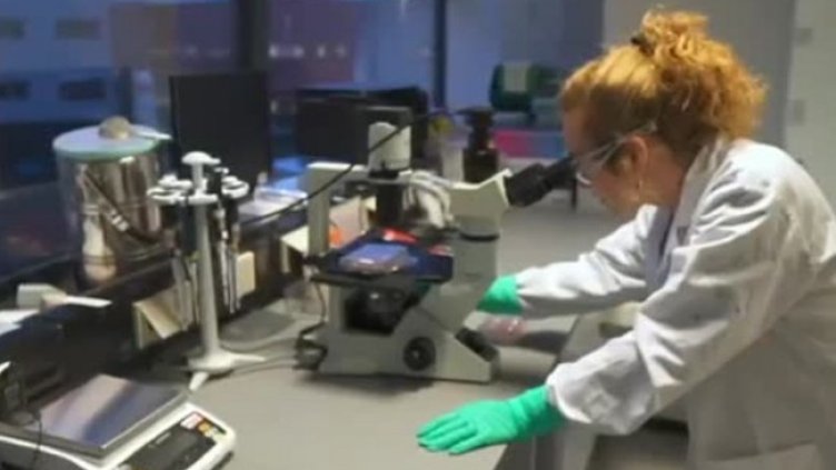 Снимка: Bulgaria ON AIR