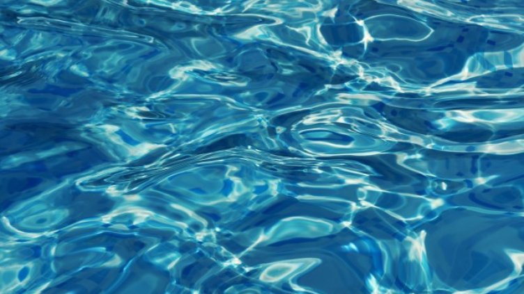 Снимка: Pixabay