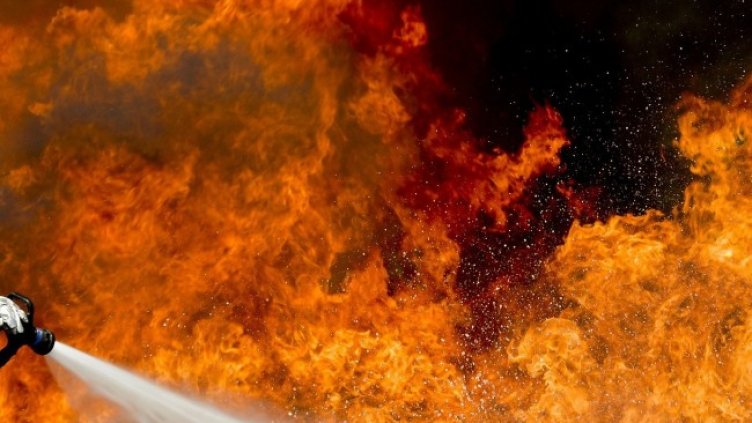 Снимка: Pixabay