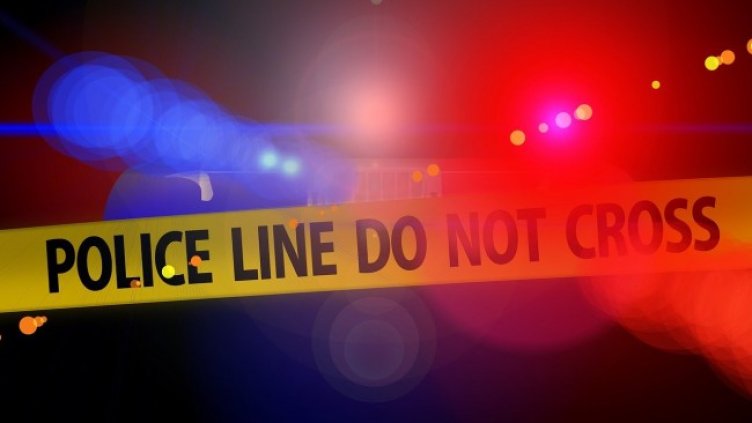 Снимка: Pixabay