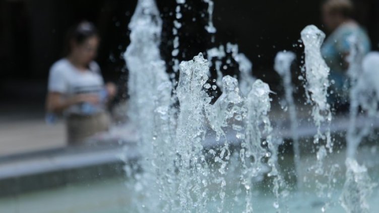 Снимка: архив, БГНЕС