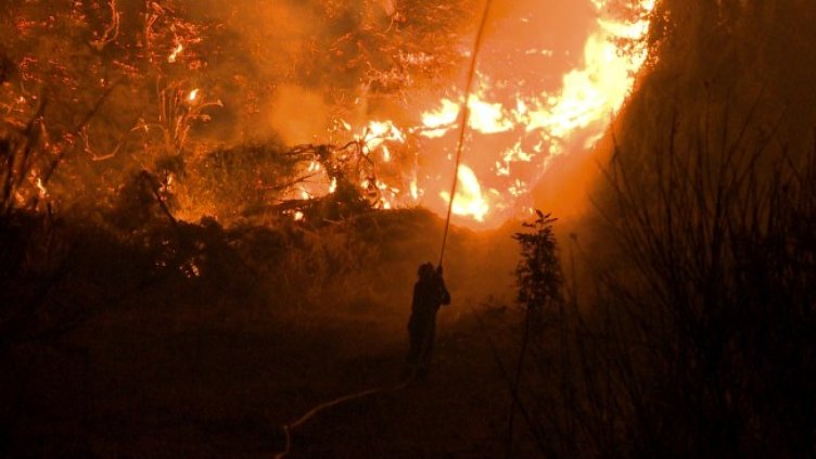 Снимка: БГНЕС