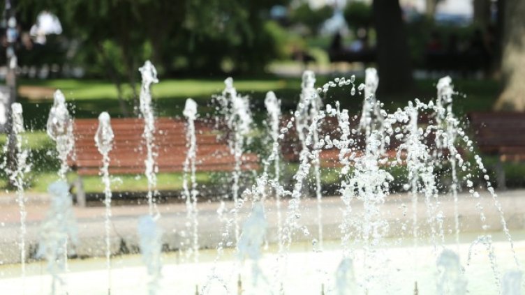 Снимка: БГНЕС