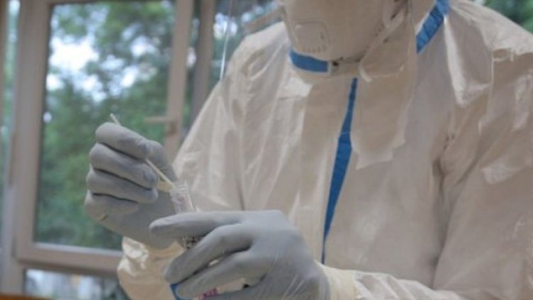 Снимка:Димитър Кьосемарлиев, Dnes.bg