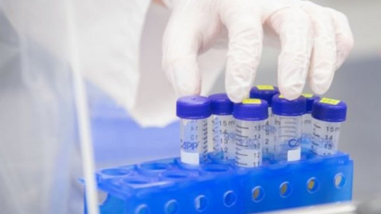 Снимка:Димитър Кьосемарлиев, Dnes.bg