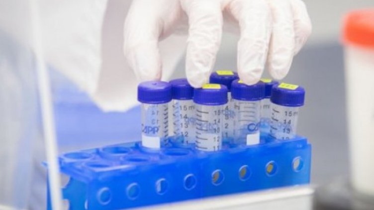 Снимка:Димитър Кьосемарлиев, Dnes.bg