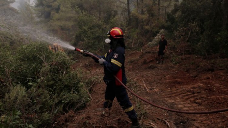 Снимка: БГНЕС