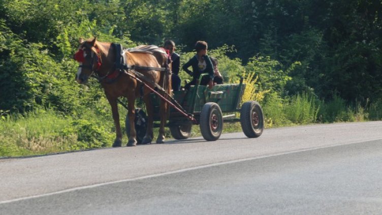 Снимка: архив, БГНЕС