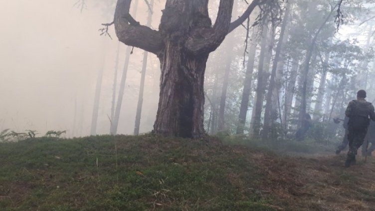 Снимка: МО, архив