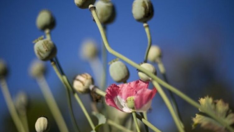 Снимка: Bloomberg