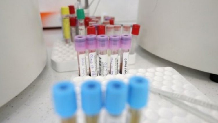 Снимка:Димитър Кьосемарлиев, Dnes.bg