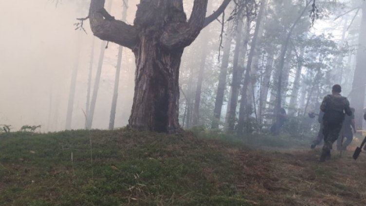 Снимка: БГНЕС