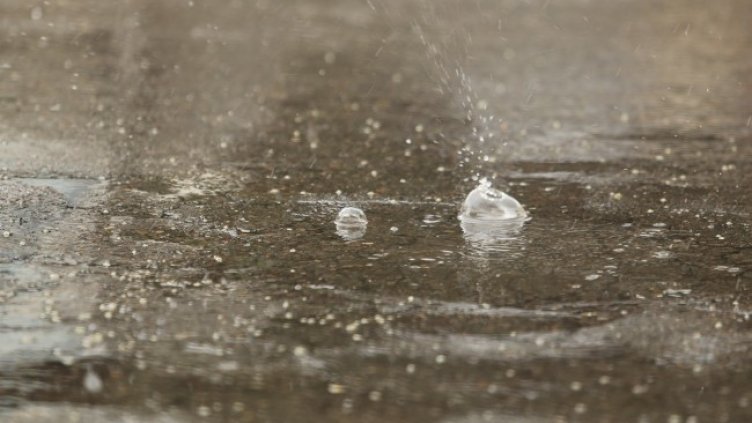 Снимка: БГНЕС, архив