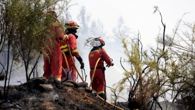 Снимка: БГНЕС