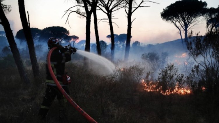 Снимка: БГНЕС