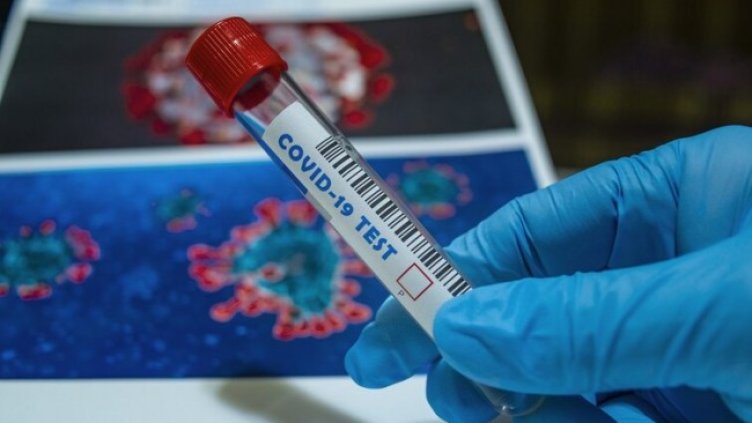 Снимка: Pixabay