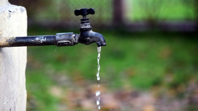 Снимка: Pixabay