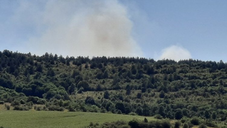 Снимка: Dnes.bg