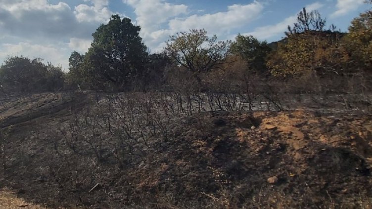 Снимка: БГНЕС, архив