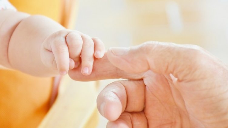 Снимка: Pixabay