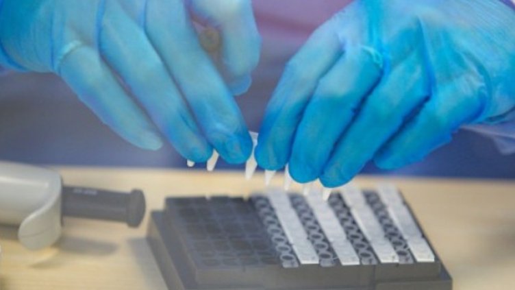 Снимка:Димитър Кьосемарлиев, Dnes.bg