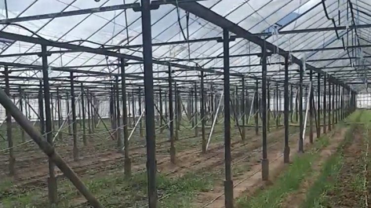 Снимка: МВР