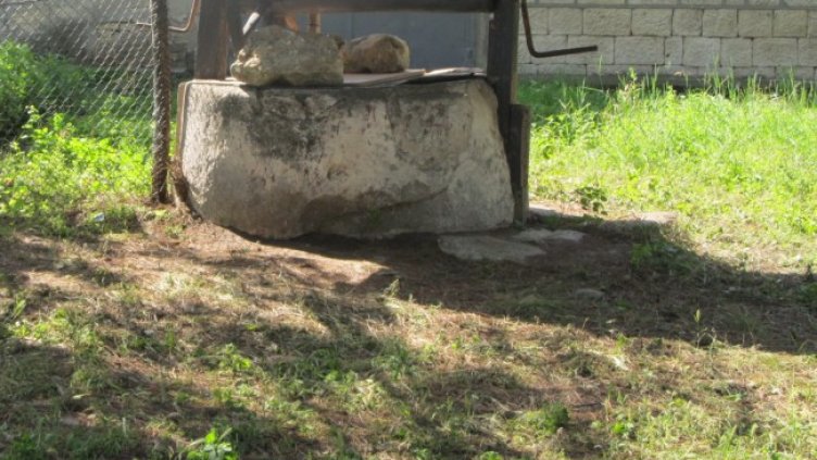 Снимка: БГНЕС, архив