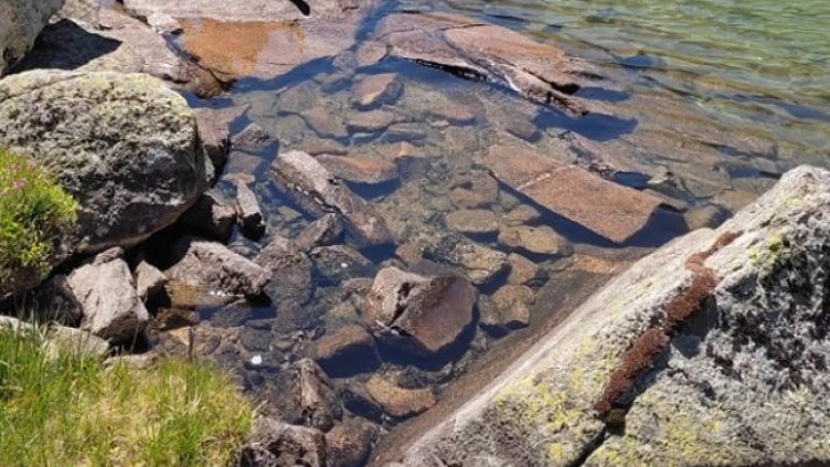 Снимка: Dnes.bg