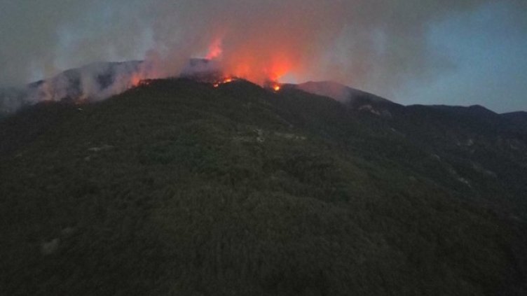 Снимка: БГНЕС