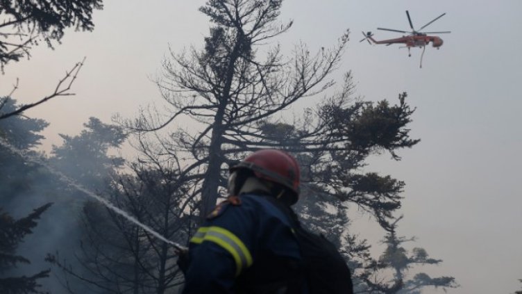 Снимка: БГНЕС