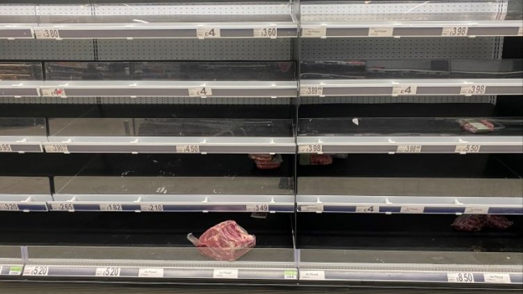 Снимка: архив, БГНЕС