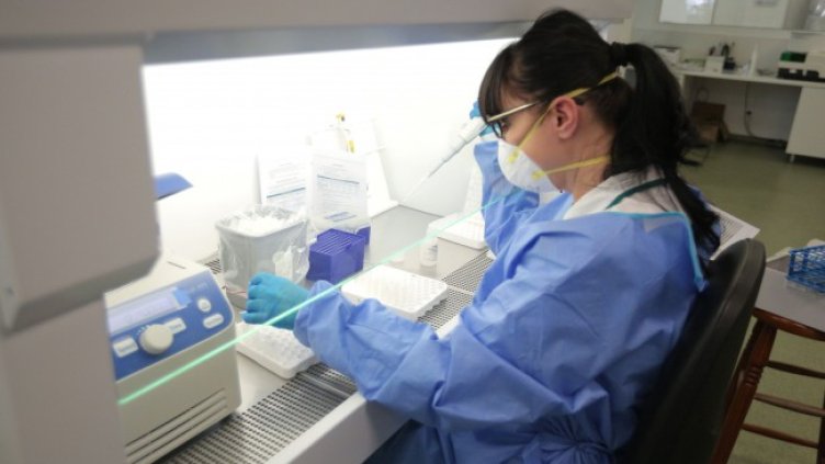 Снимка: Димитър Кьосемарлиев, Dnes.bg